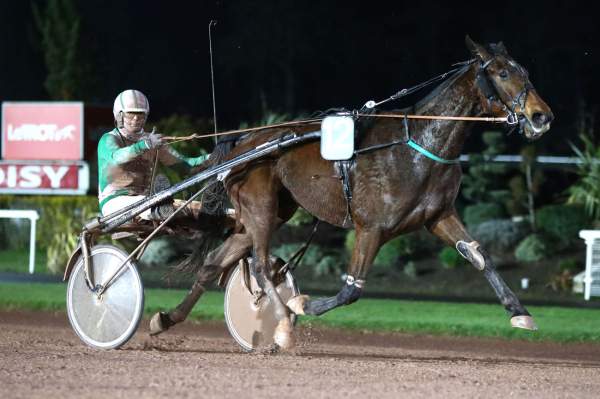 Photo de JOSS CAPELLO cheval de TROT ATTELE