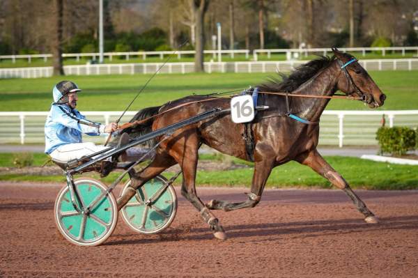 La photo de Jonquille De Meat arrivée PMU Prix de Caudebec à Enghien