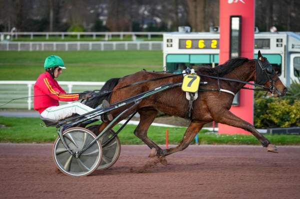 Photo de KER POULGWEN cheval de TROT ATTELE