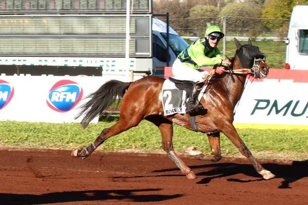 Photo de JAVA D'ECAJEUL cheval de TROT MONTE