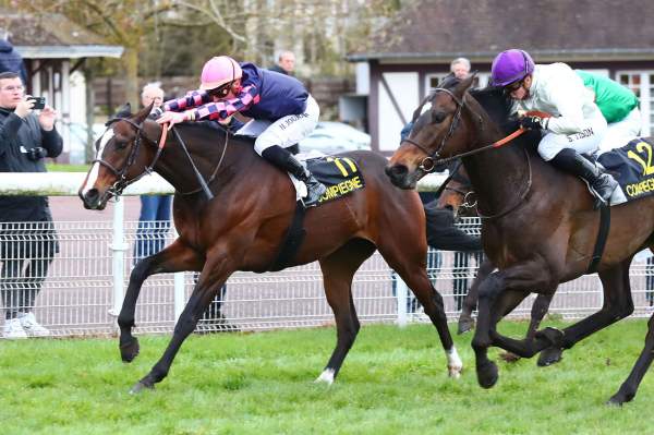 Photo de AL ALAALI cheval de PLAT