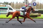 La photo de Jamaica Phedo arrivée PMU Prix du Finistère à Paris-Vincennes