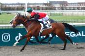 La photo de Second To None arrivée PMU Prix de la rue des potages à Chantilly