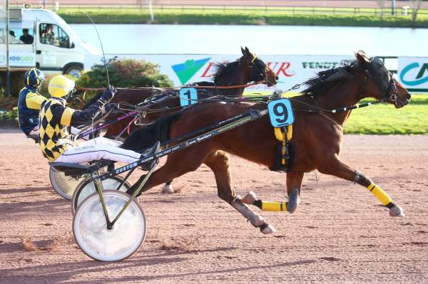 La photo de Jolydole 