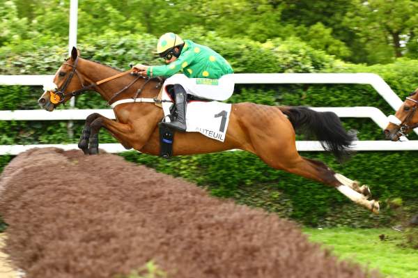 Photo de FUNNY BERRY cheval de HAIES