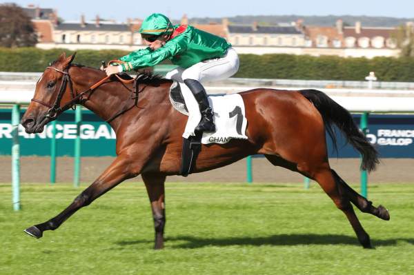 Photo de CANDALA cheval de PLAT