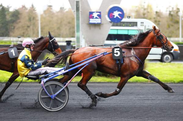 Photo de LEONARDO VICI cheval de TROT ATTELE