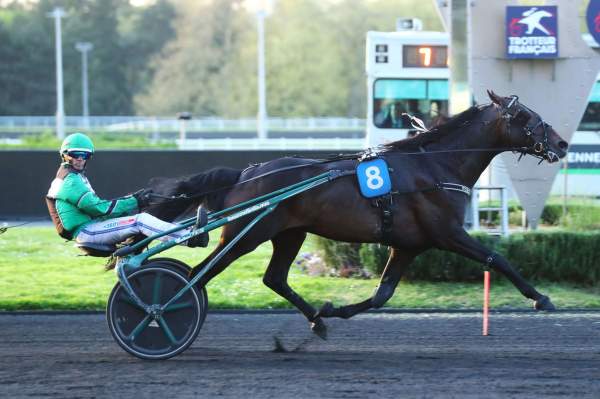 Photo de WORKING CLASS HERO cheval de TROT ATTELE