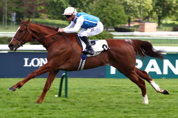 Photo de HAMAVI cheval de PLAT