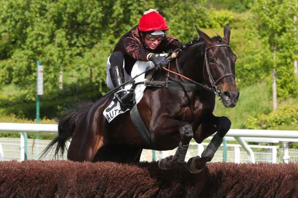La photo de Kentucky Wood arrivée Prix Jean Stern (Gr.II) à Auteuil