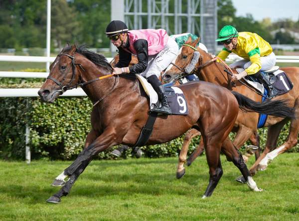 Photo de NIGHTS ON BROADWAY cheval de PLAT