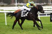 La photo de Aversa Arrivée Quinté+ Pmu Prix de la Forêt de Fontainebleau