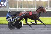 La photo de Luminosity arrivée PMU Prix Alcione à Vincennes