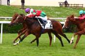 La photo de Grecian Storm 