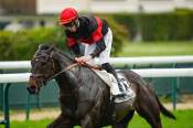 La photo de Etatique Arrivée Quinté+ PMU Super Handicap de Réouverture à ParisLongchamp