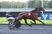 La photo de Look Meslois arrivée PMU Prix Proserpina à Vincennes