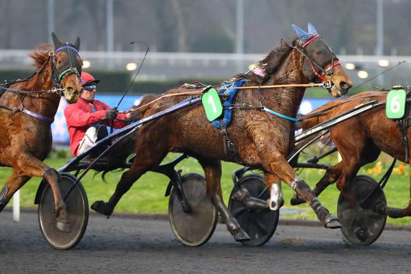 La photo de Idole Jallerie 