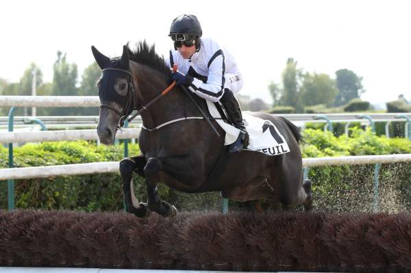 Photo de SISSI DU MESNIL cheval de HAIES