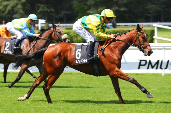 Photo de STUNNING ANGEL cheval de PLAT