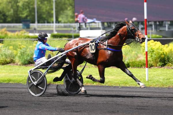 Photo de FAKIR DE MAHEY cheval de TROT ATTELE