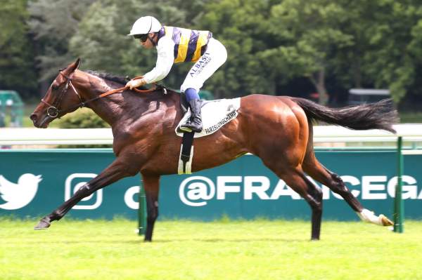 La photo de Sevenna's Knight arrivée pmu Prix Vicomtesse Vigier (Gr.2) à Longchamp