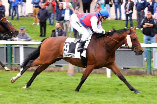 Photo de HUR CAT cheval de PLAT