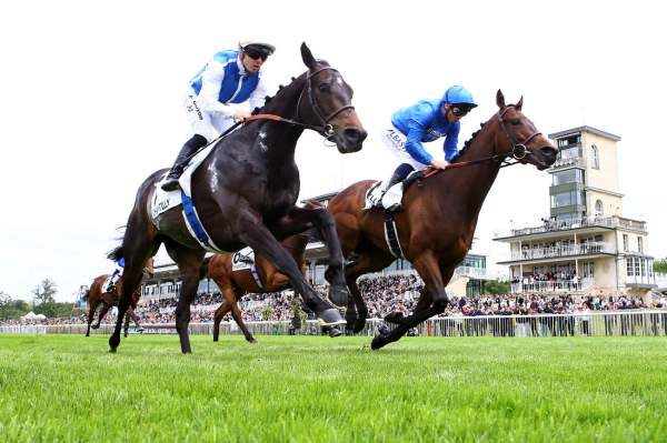La photo de Junko Arrivée PMU Grand Prix de Chantilly
