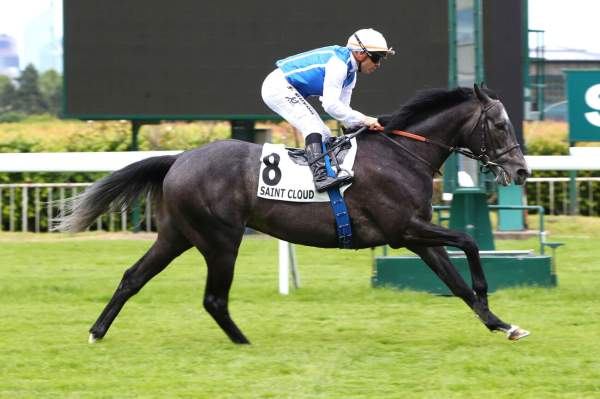 Photo de NO LUNCH cheval de PLAT