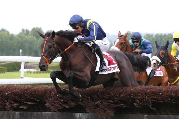 Photo de FEU DE DIEU cheval de STEEPLE CHASE
