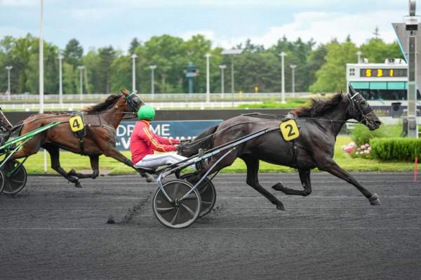 Photo de KEYS cheval de TROT ATTELE