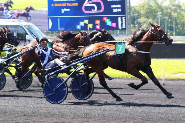 Photo de HORSY DREAM cheval de TROT ATTELE