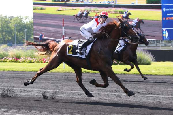 Photo de JULIENAS DE VRIE cheval de TROT MONTE