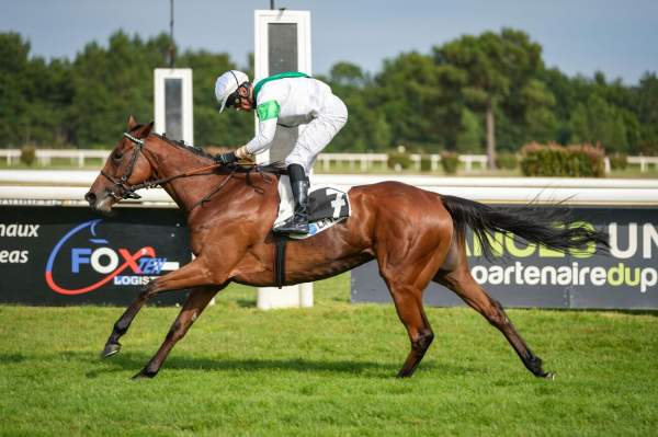 Photo de MOMBASA cheval de PLAT