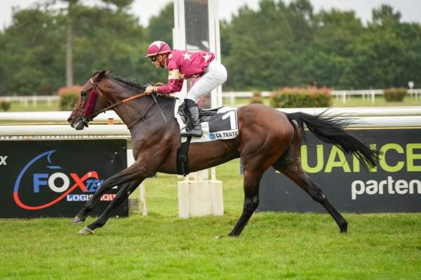 Photo de HARRY DE LA BRUNIE cheval de PLAT