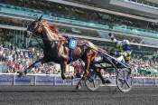 La photo de Lombok Jiel Arrivée PMU Pick5 Prix Albert Viel à Vincennes
