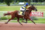 La photo de King Of Jiel arrivée pmu Prix de Crépy en Valois à Enghien