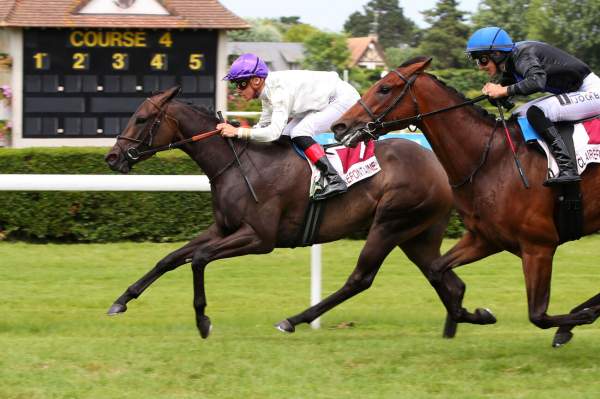 Photo de TANIS cheval de PLAT
