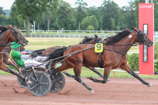 Photo de EDGAR SABA cheval de TROT ATTELE