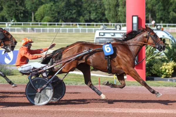 Photo de JASON GINYU cheval de TROT ATTELE