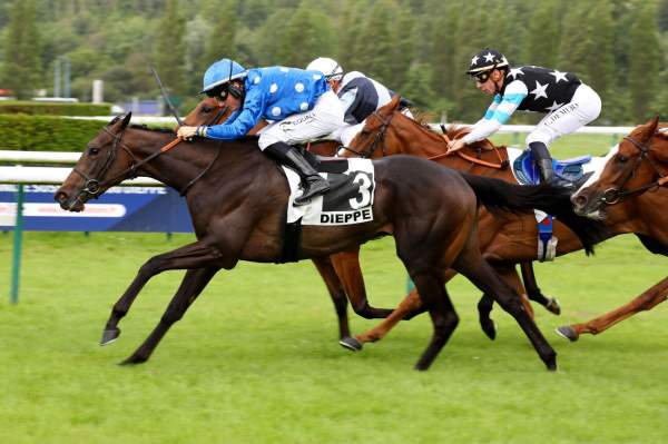 Photo de GOLDEN BELLE cheval de PLAT