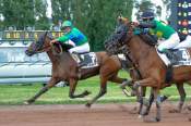 La photo de Ksar Ludois arrivée pmu Prix de l'Indre à Vichy