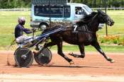 La photo de Latino Bello arrivée pmu Prix de la Société du trotteur Français aux Sables d'Olonne