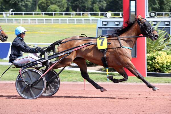 Photo de KINDY DU VIVIER cheval de TROT ATTELE