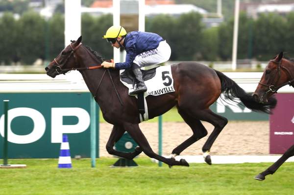 La photo de Reine De Medicis arrivée pmu Prix de Falaise à Deauville