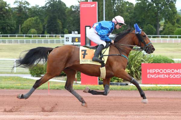 Photo de LEMPICKA SEPT cheval de TROT MONTE