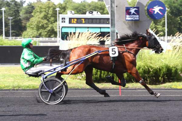 Photo de KYSKO DE FAEL cheval de TROT ATTELE