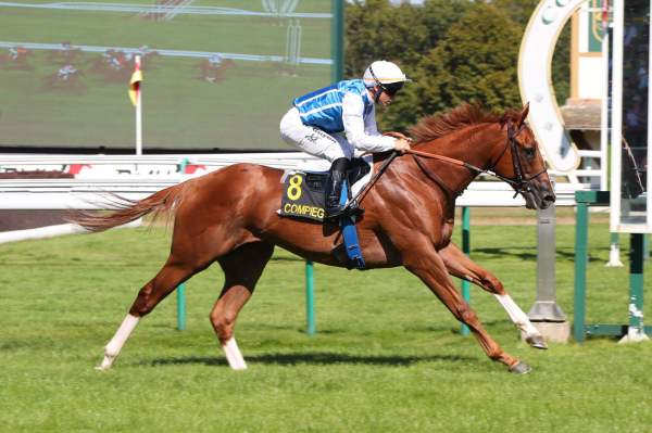 Photo de CACOFONIX cheval de PLAT