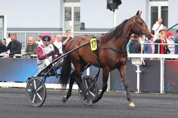 Photo de JUST A GIGOLO cheval de TROT ATTELE