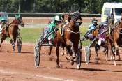 La photo de Joyeux Du Landret