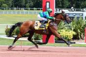 La photo de Huriel Ludois arrivée pmu Prix de la Porte de Plaisance à Enghien